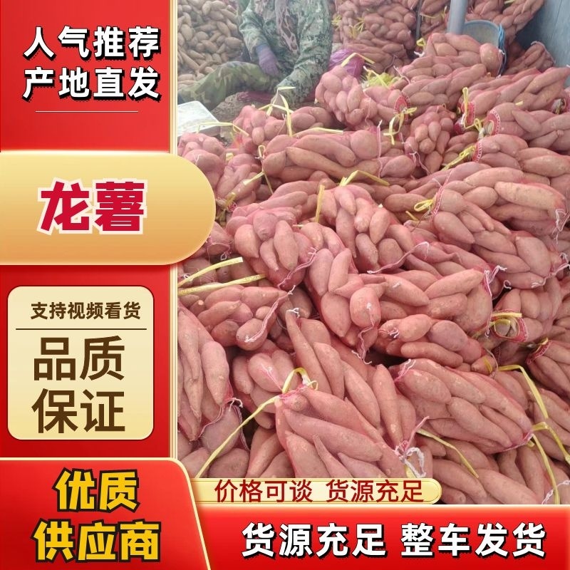河北龙薯小红薯批发，货源充足，量大优惠，支持各种包装