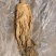 精品梅菜干，可视频看货大量供应长期稳定供货量大从优