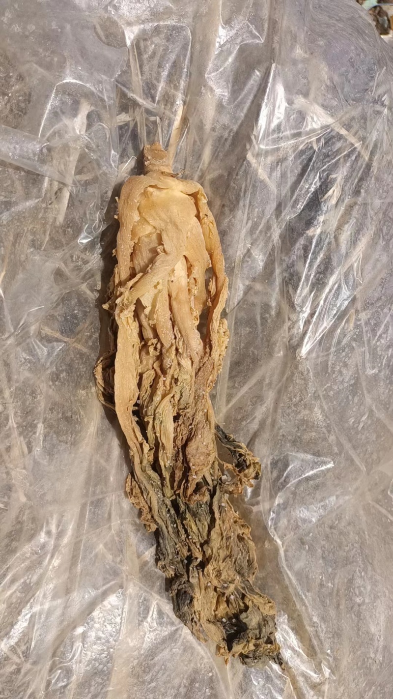 精品梅菜干，可视频看货大量供应长期稳定供货量大从优