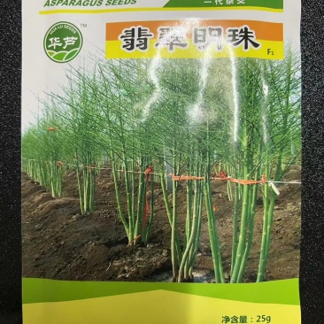 翡翠明珠一代杂交芦笋种子质量保障发芽率高产量高抵抗病虫害
