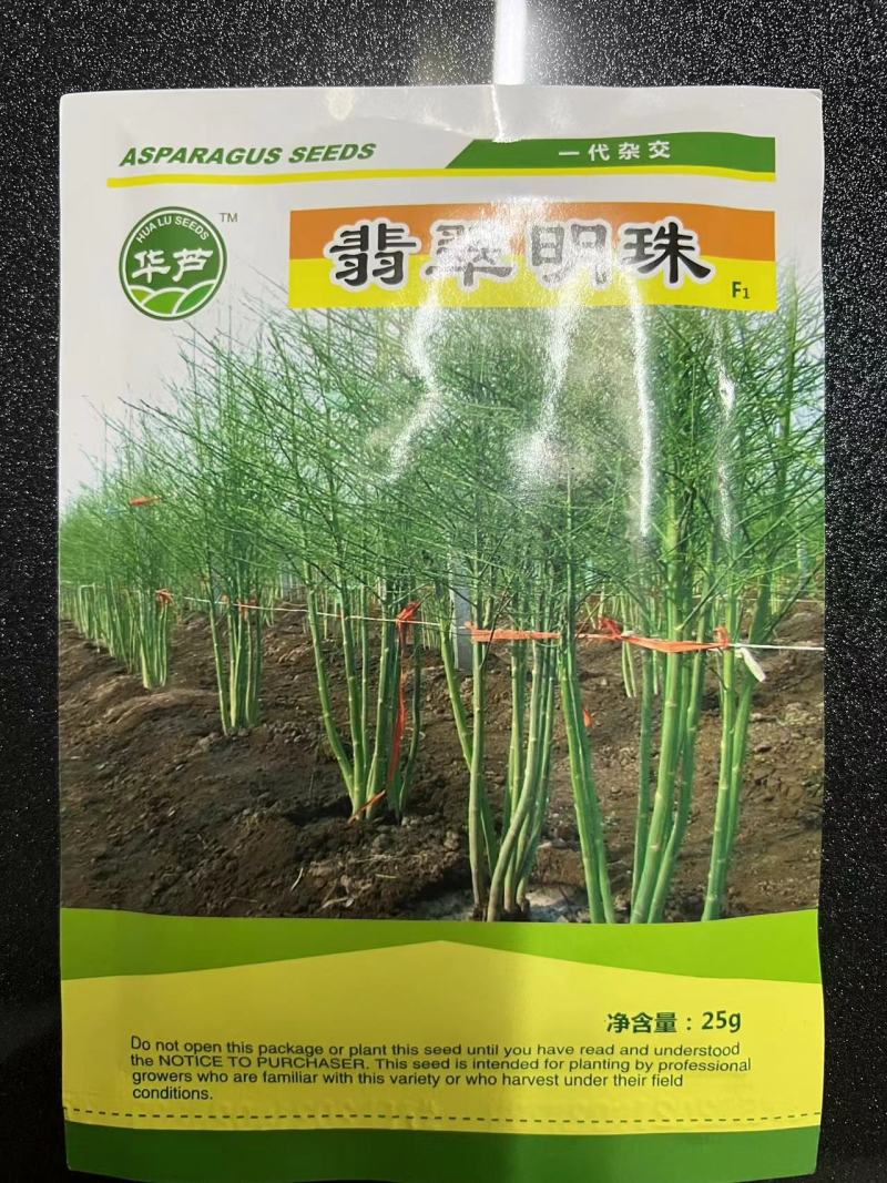 翡翠明珠一代杂交芦笋种子质量保障发芽率高产量高抵抗病虫害