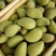 云南小台芒大量供应保质保量供应电商市场