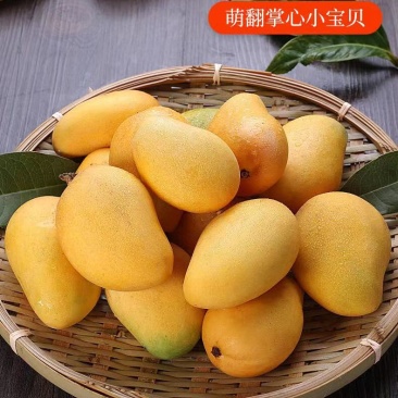 云南小台芒大量供应保质保量供应电商市场