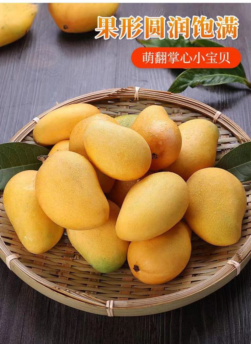 云南小台芒大量供应保质保量供应电商市场