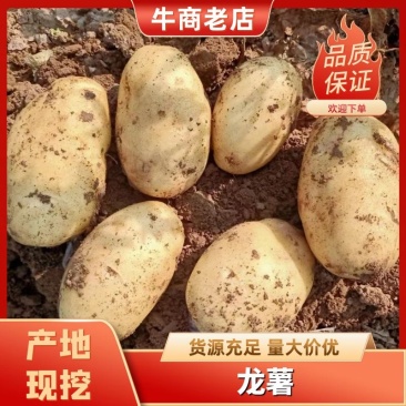 沃土土豆，产地直发，大量有货欢迎各位老板咨询采购