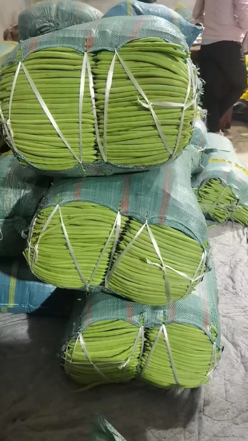 四季豆小金豆对接全国市场商超诚信经营量大从优