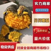 贝贝南瓜大量上市，支持各电商平台欢迎来电选购