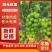 【进店】阳光玫瑰，新鲜采摘，可视频看货，欢迎来电。