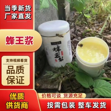 纯东北蜂王浆蜂皇浆蜂乳手挖速冻黑龙江蜂王浆