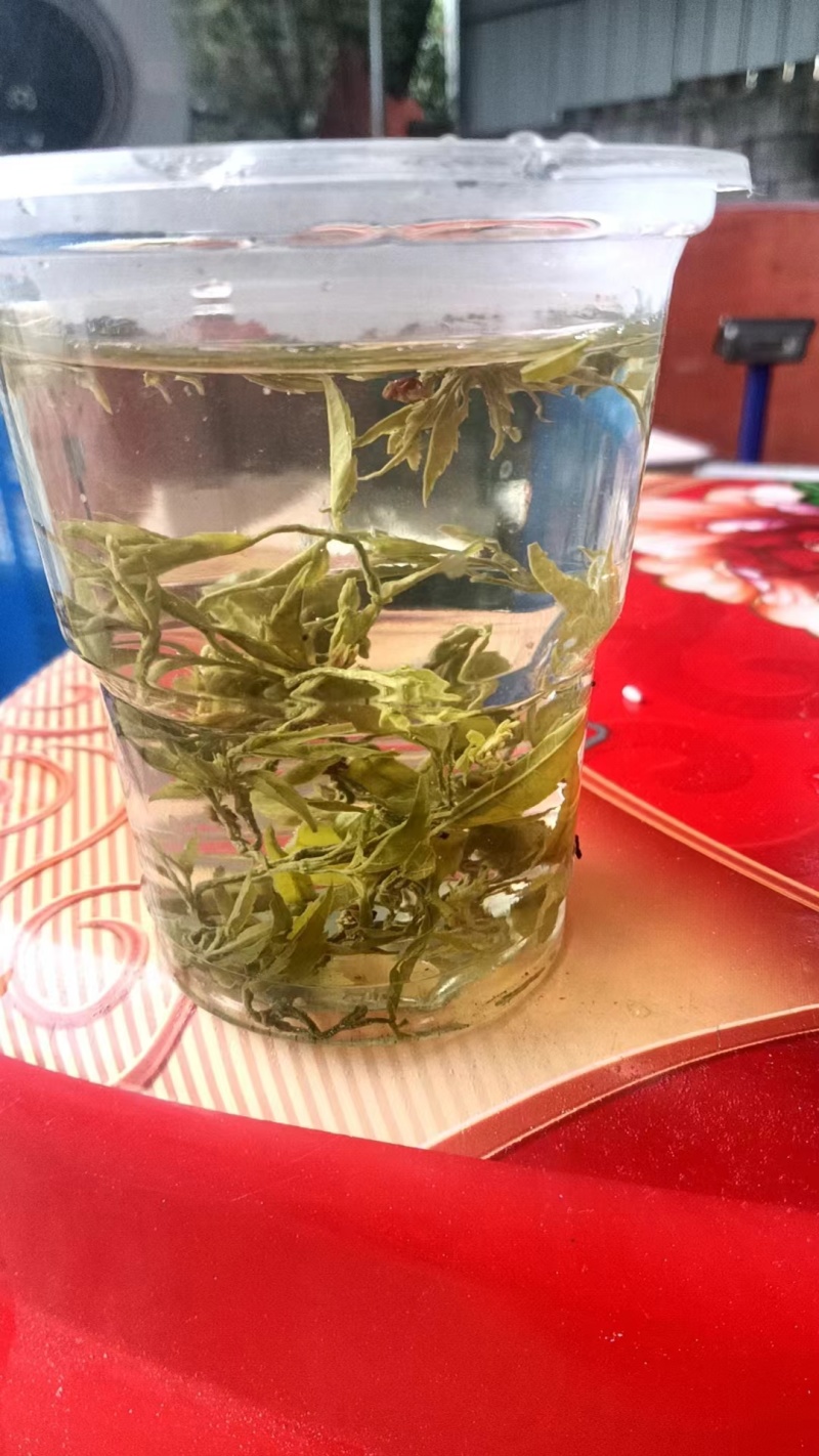 精品藤茶龙须茶大量供应散装定制欢迎咨询量大从优
