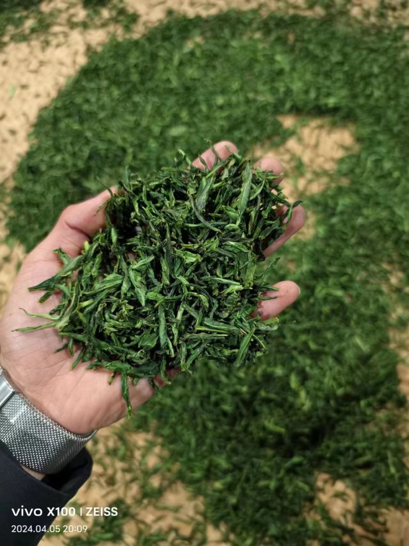 安徽手工手工瓜片六安瓜片质量保证，品种纯正，假一赔十