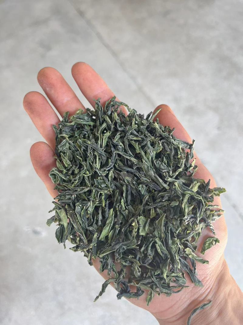安徽手工手工瓜片六安瓜片质量保证，品种纯正，假一赔十
