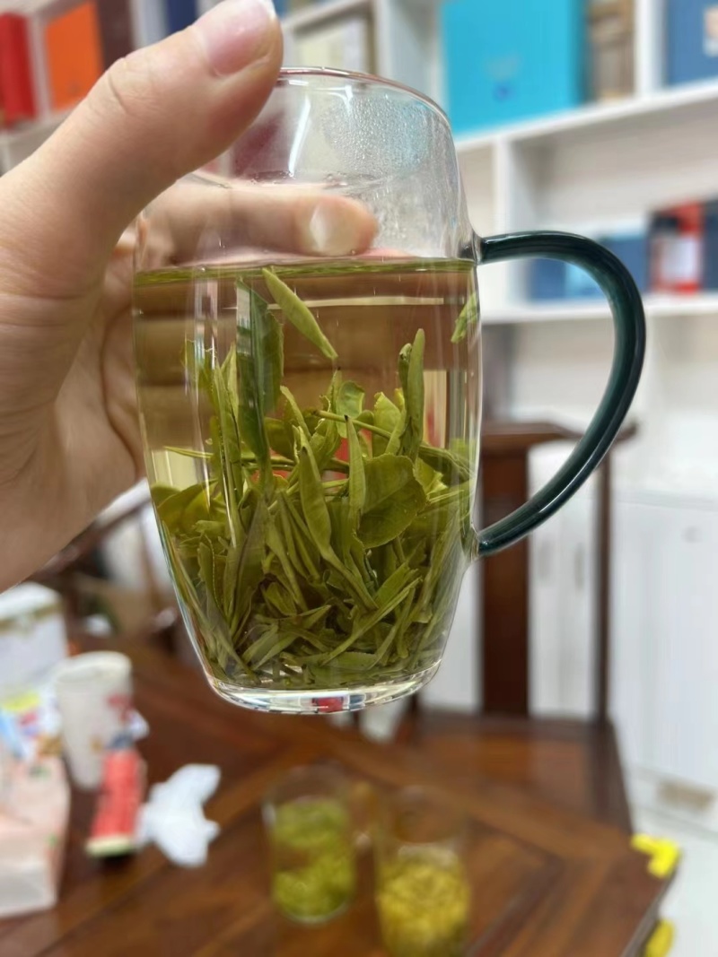 安徽本地金寨黄芽茶透明交易实力供货视频看货