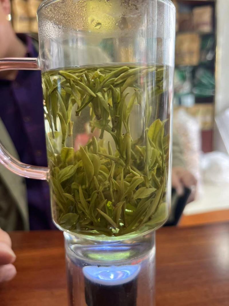 安徽本地金寨黄芽茶透明交易实力供货视频看货