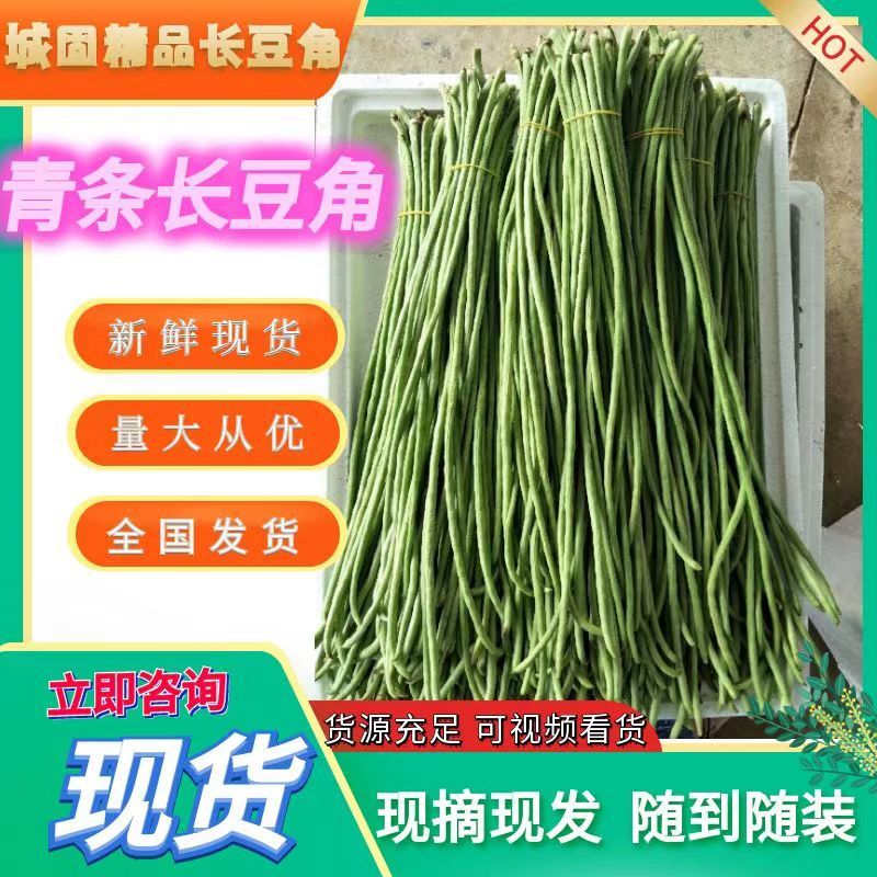 长豆角青条豆角颜色绿条直无虫眼，基地发，量大从优一条龙