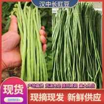 城固长豇豆，颜色绿条直无虫眼，基地直供，量大从优一条龙