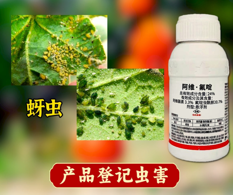 24%阿维氟啶虫酰胺抗性蚜虫专用飞虱粉虱棉蚜桃蚜杀虫剂