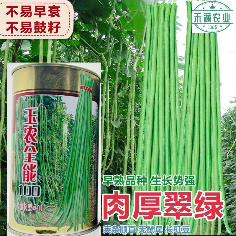 豆角种子加长型高产翻花多春秋两季豇豆种籽小叶豆角抗病优良