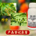 24%阿维氟啶专打蚜虫杀虫剂抗性蚜虫刺吸虫害原厂原证