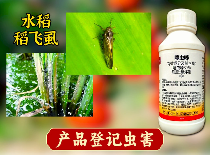 30%噻虫嗪稻飞虱蚜虫白粉虱刺吸类害虫杀虫剂