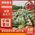 广东雷州美都麒麟，汕头美都，云南美都，海南美都，产地直供