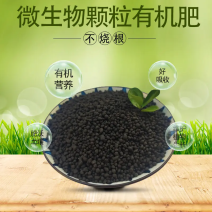 绿沃肥业-颗粒鸡粪肥改善土壤环境肥效长无污染