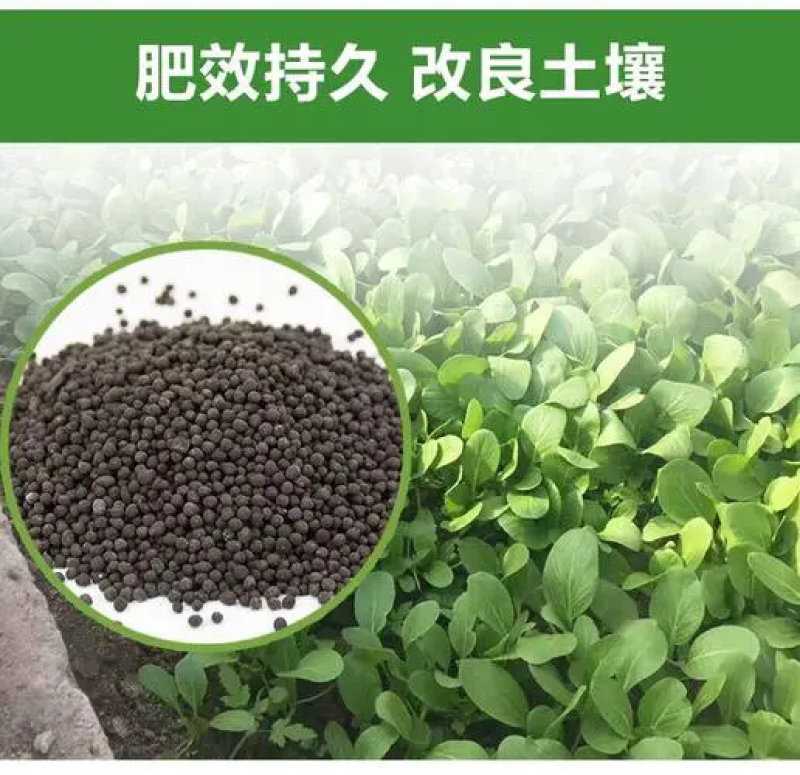 绿沃肥业-颗粒鸡粪肥改善土壤环境肥效长无污染