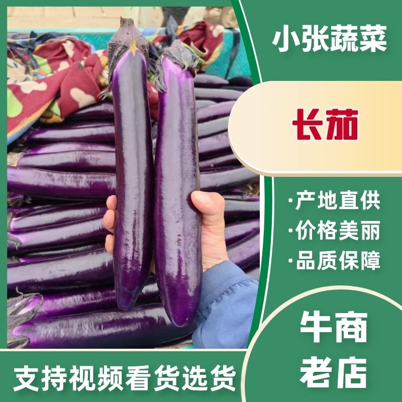 蔬菜基地精品紫长茄大量供应，欢迎各大商超订购！