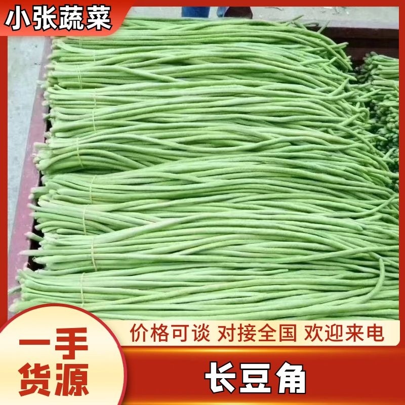 原产地长豆角大量现货，长度65-80厘米，欢迎订购！