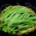 锦裕龙谷贡菜280g涮火锅丸子关东煮半成品商用配菜食材