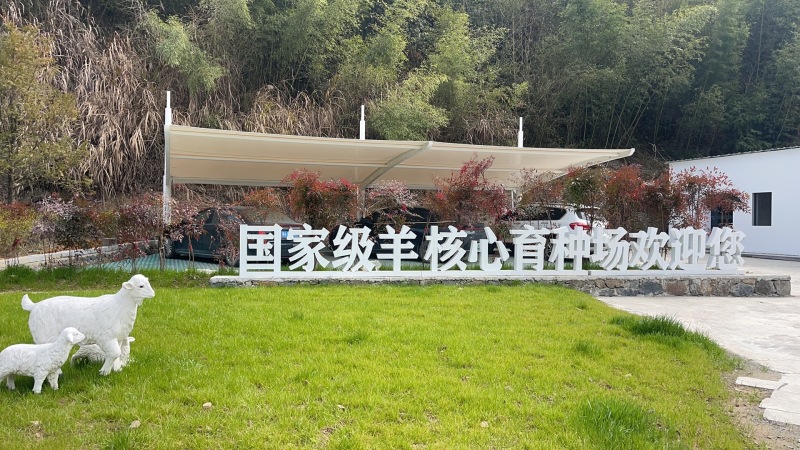 羊粪颗粒羊粪，量大质优价格优惠欢迎咨询采购