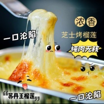 焗友芝士焗榴莲冷冻商用半成品小吃餐饮食材批发