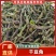 一级干豆角嫩豆角去根去头工艺厂家直供一手货源