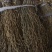 陕西汉中干豆角长豆角长期供应品质保障量大优惠欢迎选购