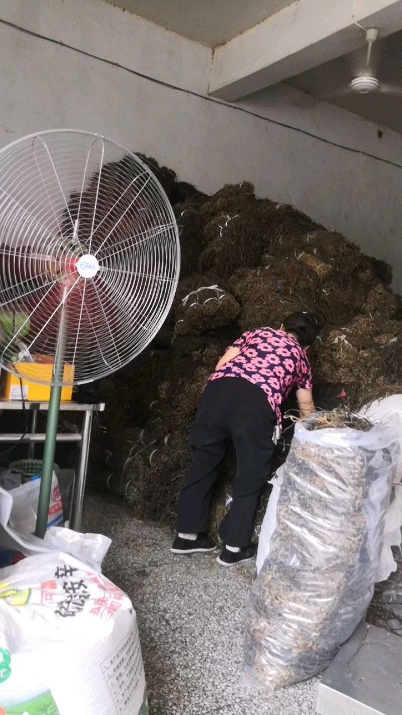 陕西汉中干豆角长豆角长期供应品质保障量大优惠欢迎选购