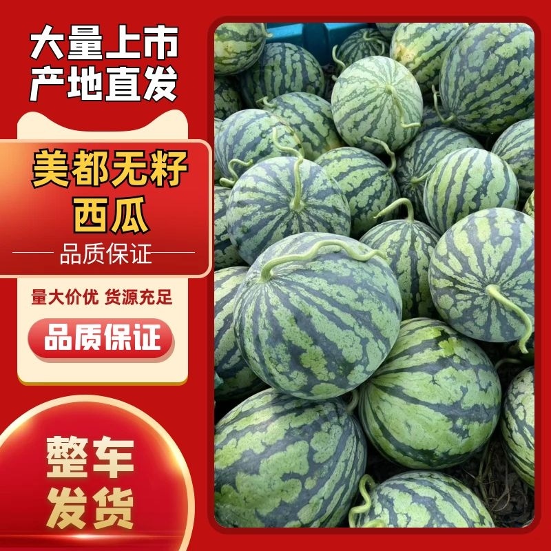 美都无籽西瓜，味道鲜美，新鲜采摘，可视频看货欢迎大家来电