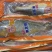 骏马黄花鱼礼盒冷冻商用半成品黄花鱼小吃餐饮食材批发