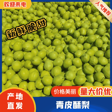 陕西早酥梨青皮早酥梨/脆甜可口/全国代发