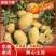 土豆。辽宁绥中精品沃土，刘平一号，黄皮黄心土豆大量上市了