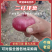 精品4---7二红洋葱新鲜洋葱冷库洋葱电商市场商超货源
