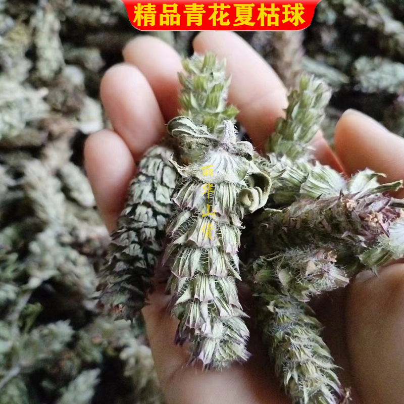 【真好花】24年青花夏枯球精选通货夏枯草全草带根产地直