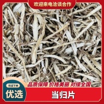 当归节子片。规格齐全量大优惠可视频看货欢迎咨询