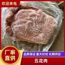 精品五花肉大量上市诚信经营一手货源欢迎来电采购