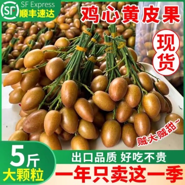 【实力推荐】黄皮果广西黄皮果一手货源可视频看货