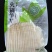 火锅笋片水煮笋免切免泡发250g/包