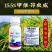 15.5%甲维茚虫威卷叶螟钻心虫青虫肉虫杀虫杀卵