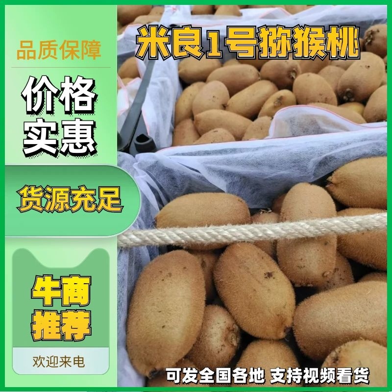 米良一号湘西绿心猕猴桃米良一号，产地直发可接商超电商