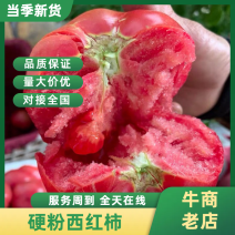 硬粉西红柿宁夏产地直发货源稳定多个档口供货