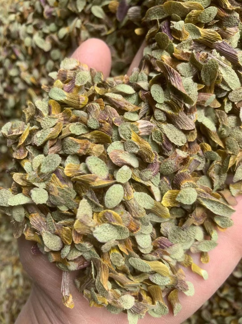 云南软脚铁皮石斛切片铁皮石斛正宗六年全化渣当年新货批发