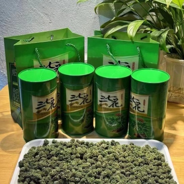 云南文山三七花田七三年花特级三七花一件批发